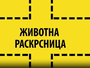 Животна раскрсница:	Адолесценција