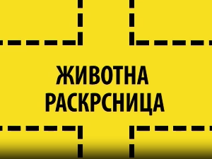 Животна раскрсница:	Депресија код младих
