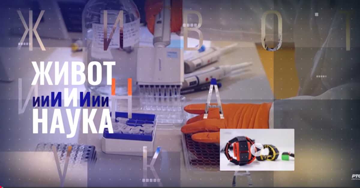 Живот и наука: Асистивне технологије