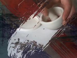 Од пигмента до концепта: Мозак и фреска