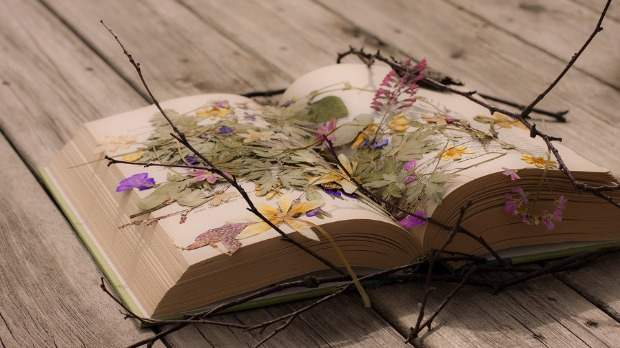 С песником у подне: Горан Бабић: ,,Мој језик"