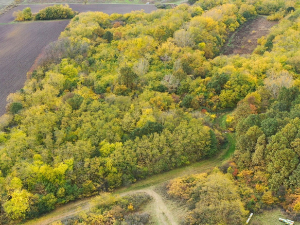 Славујев луг - прва шума коју је откупила заједница љубитеља птица у Србији 
