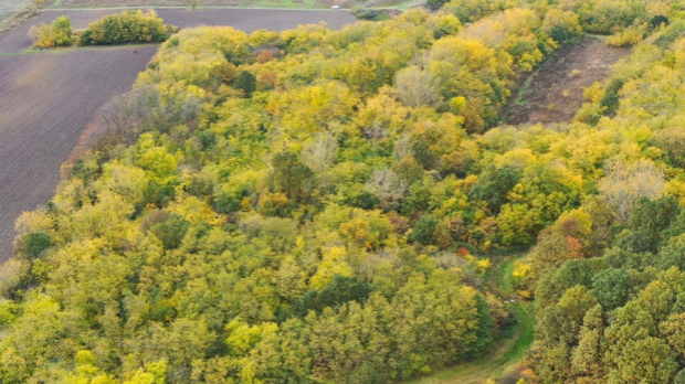 Славујев луг - прва шума коју је откупила заједница љубитеља птица у Србији 