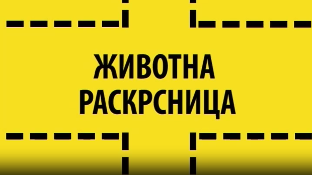 Животна раскрсница: Анорексија и булимија