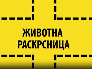 Животна раскрсница: Ја, анорексија