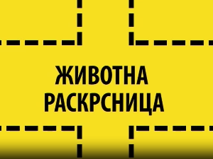 Животна раскрсница:	ЕЛСА