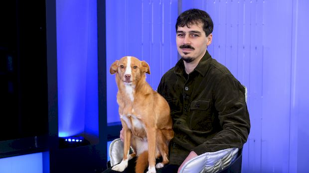 Велика илузија – Нове, старе приче