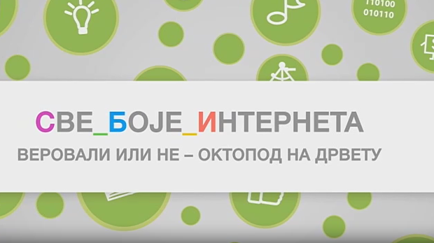 Све боје интернета: Веровали или не октопод на дрвету