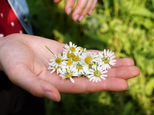 Колика је прегршт