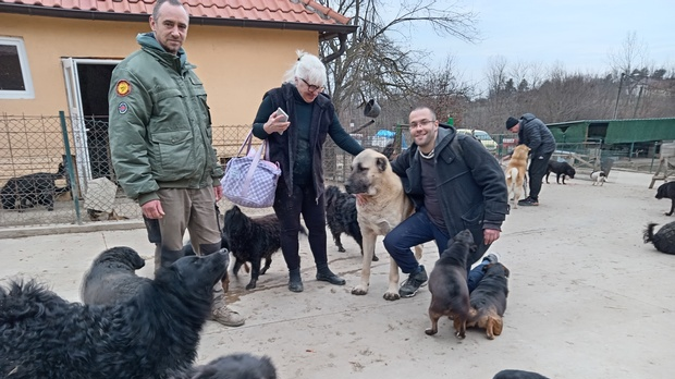 Говори да бих те видео:  Горица Ангеловска Тапаи