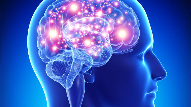 Соларис:  Когнитивне основе језика