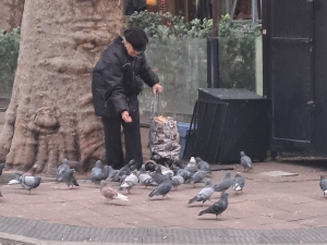 Јутарњи викенд програм