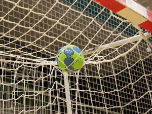 Регионална рукометна лига за даме од следеће сезоне, СЕХА у плану