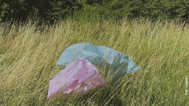 На три воде: Јутарњи програм из три студија