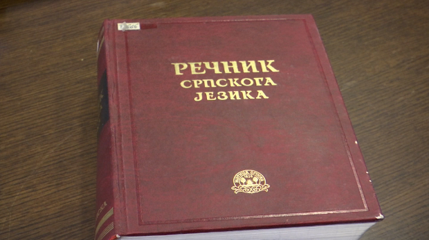 Богатство и лепота различитости – Међународни дан матерњег језика