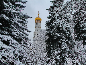 Обарање рекорда, снежни наноси у Москви највећи у последњих 60 година