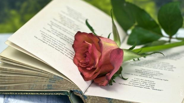 Арсен Дедић: „Мостови“