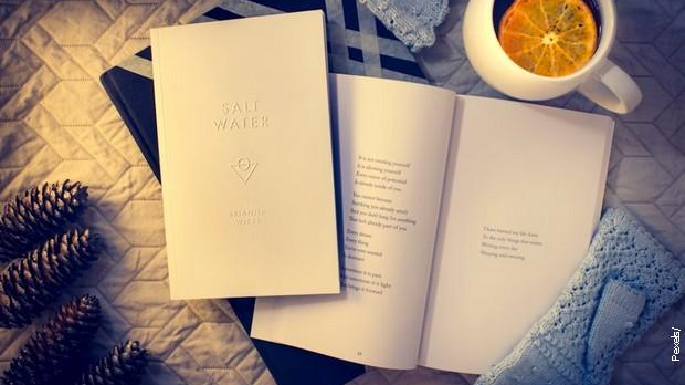 С песником у подне: Љиљана Лазаревић: „Не разумем“