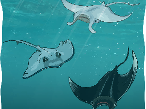 Добро јутро децо: Дуњино море