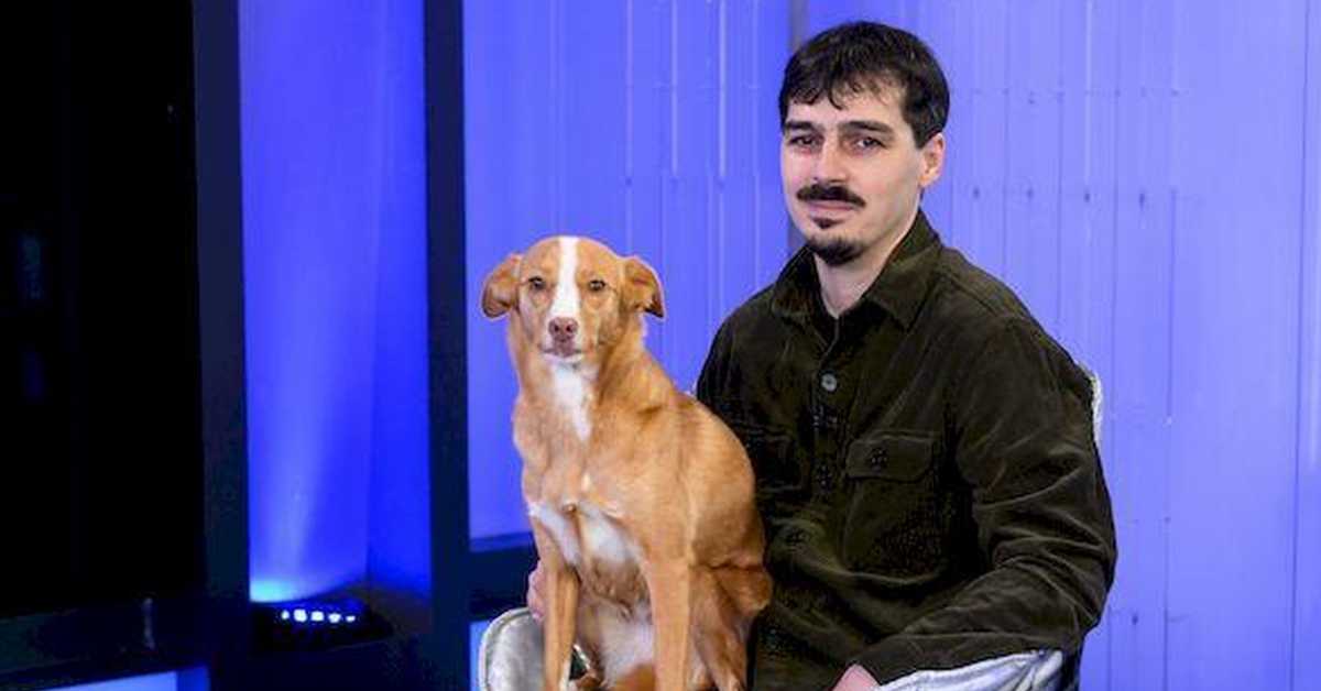 Велика илузија: Нове, старе приче