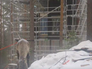 Мање познати хотели света: Трихотел Шведска