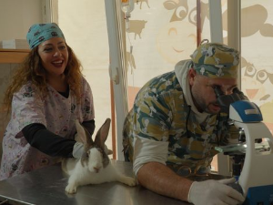 Ветеринарска мисија