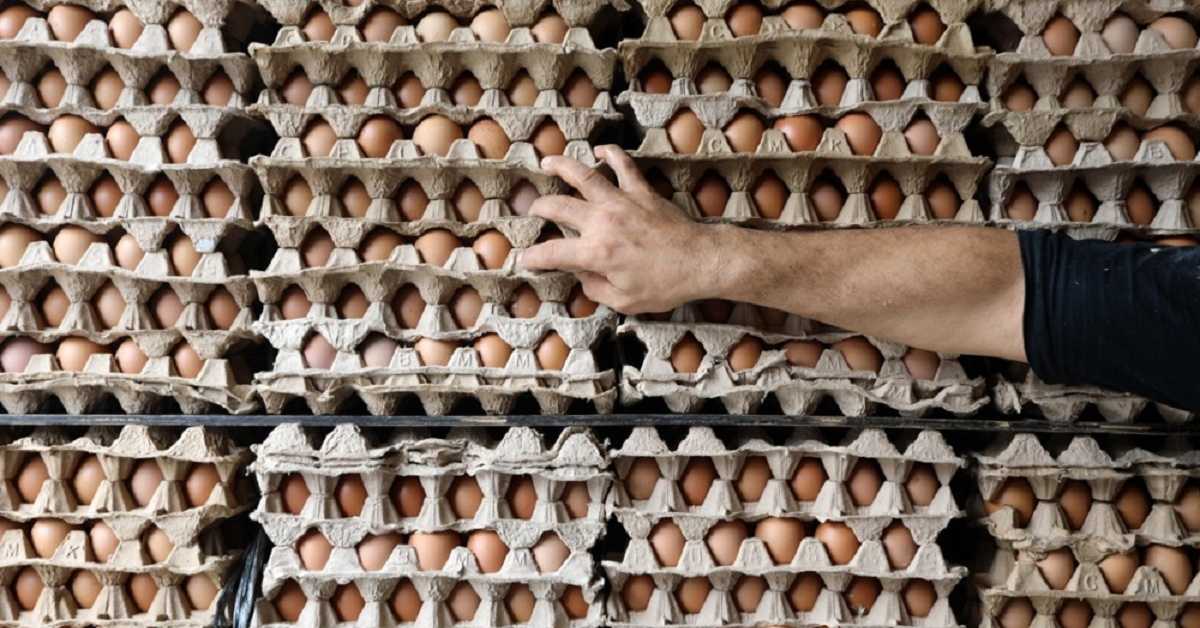 Из баште или са рафа – бирамо ли бољу цену или квалитет