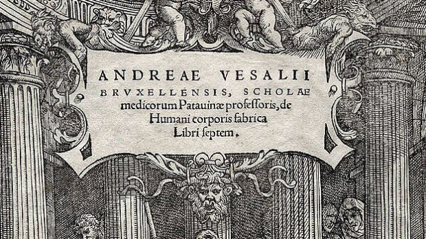 Везалијусови крајници