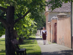 Песме мога краја – Војводина - Срем