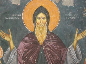 Данас је свети Симеон Мироточиви, верује се да лоза коју је посадио има посебну моћ