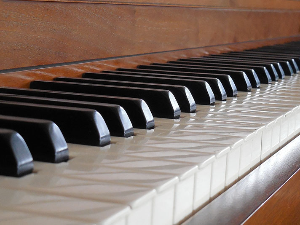 Свет међу клавирским диркама – Јасмина П. Јанковић