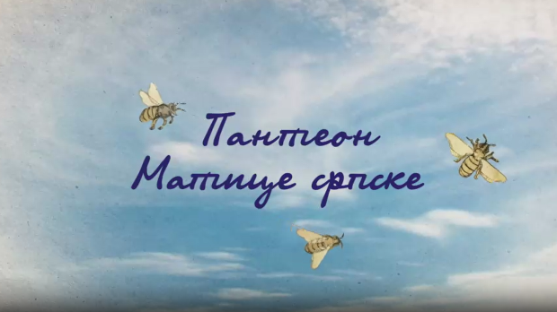 Пантеон Матице српске: Теодор Павловић, 4. еп.