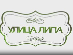 Улица липа, 22. епизода