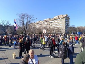 Протест грађана код парка Ушће против изградње београдског акваријума