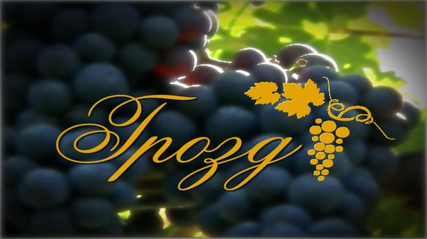 Грозд: Зимске винске приче 