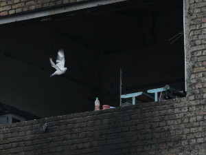 Руси погодили пијацу у Дружкивки, има мртвих и рањених; наставак преговора у Абу Дабију сутра