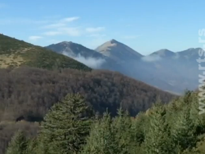 Данкина бројаница – Лирска разледница - Планине