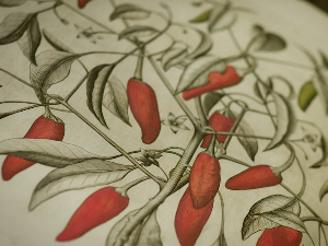 Свет очима сликара: Веласкезова љута папричица, 1-4 