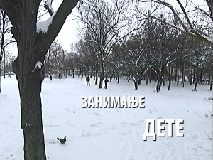 Занимање дете:	Павле Андрејевић