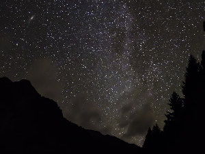 Мале ноћне приче