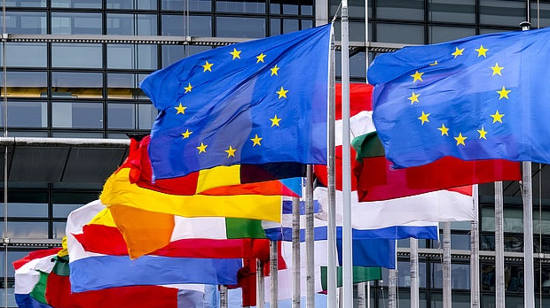 Romano Them: Иницијативе за унапређење положаја Рома и Травелерса