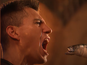 Звучни зид – ЕКВ