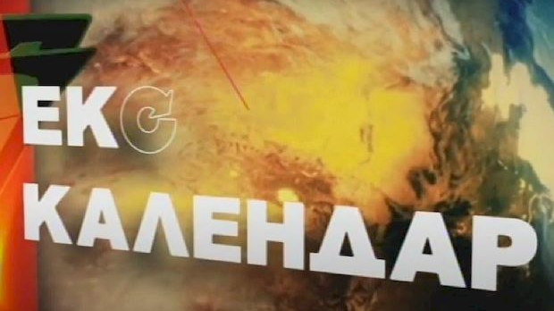 Еко минијатуре: Еко календар