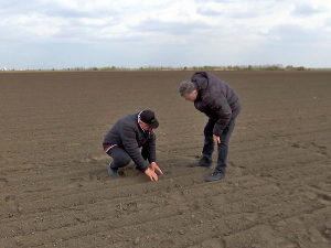 Шимановци: Како спречити деградацију земљишта
