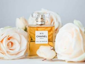 Изабел Фимејер: Коко Шанел – тајанствени парфем (12)