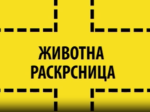 Животна раскрсница:	Анорексија и булимија