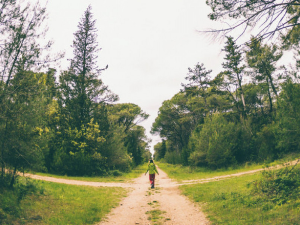 Еколошки магазин