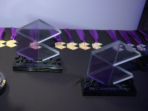 Холандска доминација у решавању пословних проблема – после задатака нови пријатељи и српске фразе 