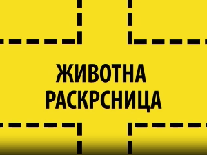 Животна раскрсница:	Правилна исхрана