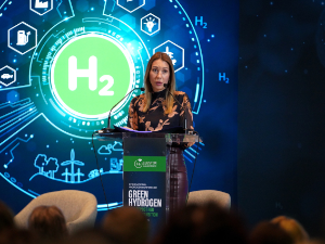 Ђедовић: Србија се припрема за примену зеленог водоника у индустрији и транспорту